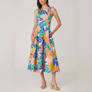 NWT: Shoshanna willow dress. Womens size 8.